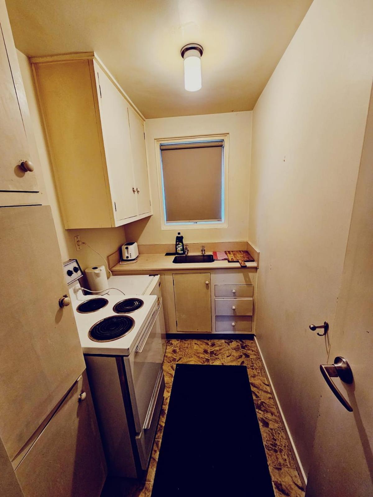 Middlepark Motel Christchurch Extérieur photo
